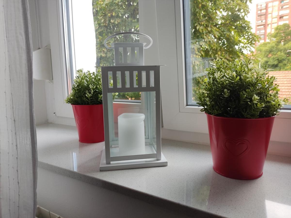 Apartament Petit Coco Zagrzeb Zewnętrze zdjęcie