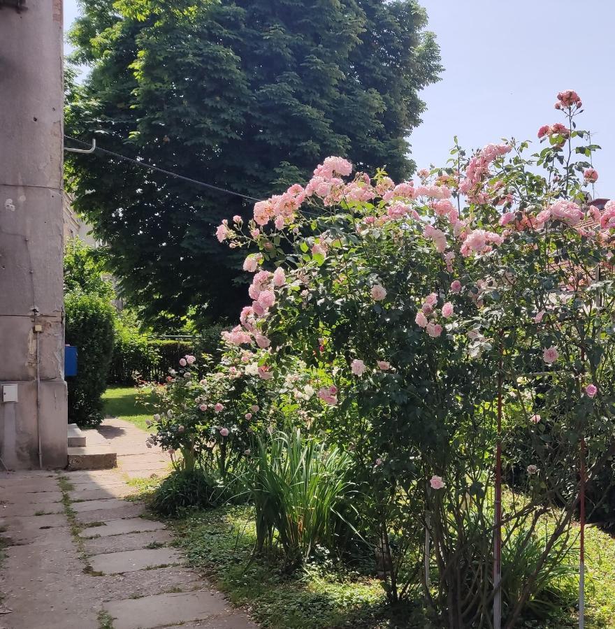 Apartament Petit Coco Zagrzeb Zewnętrze zdjęcie